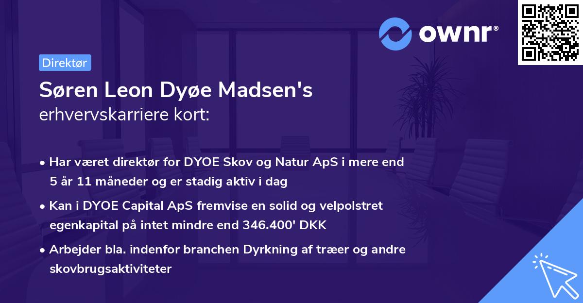 Søren Leon Dyøe Madsen's erhvervskarriere kort