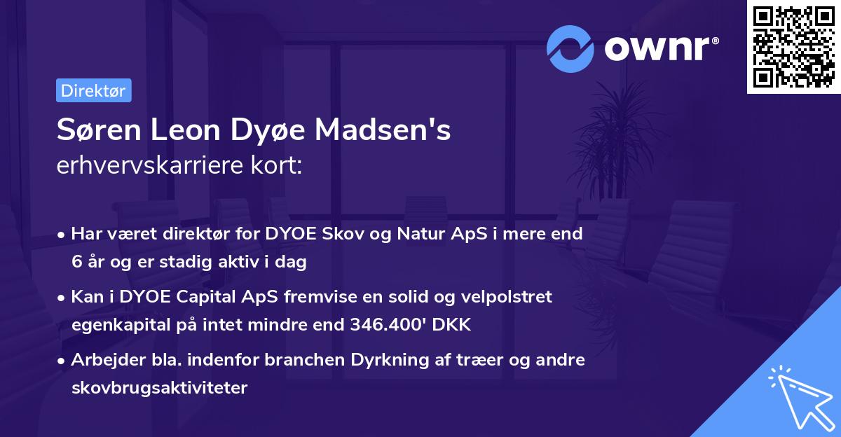 Søren Leon Dyøe Madsen's erhvervskarriere kort