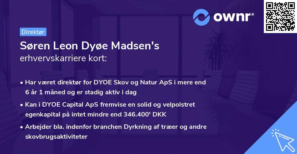 Søren Leon Dyøe Madsen's erhvervskarriere kort