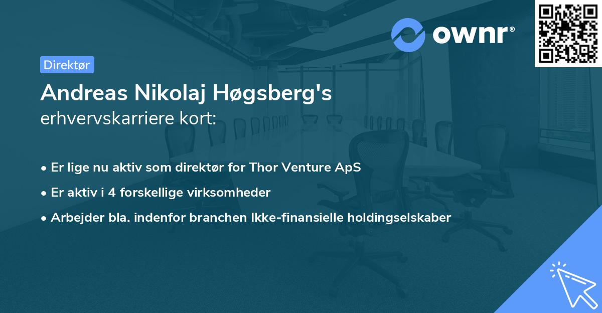 Andreas Nikolaj Høgsberg's erhvervskarriere kort
