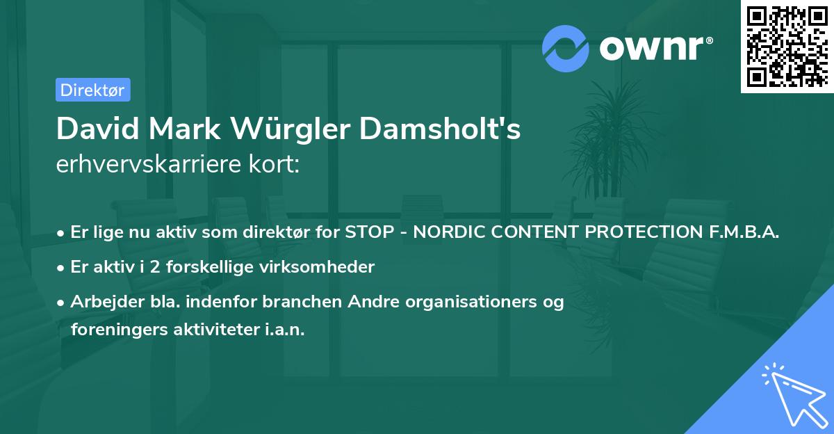 David Mark Würgler Damsholt's erhvervskarriere kort