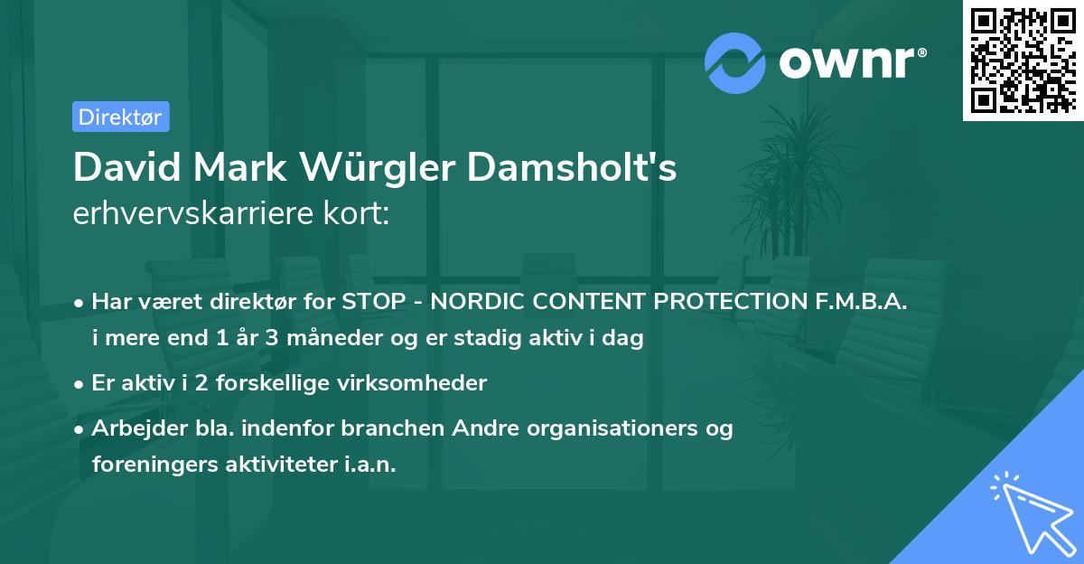 David Mark Würgler Damsholt's erhvervskarriere kort