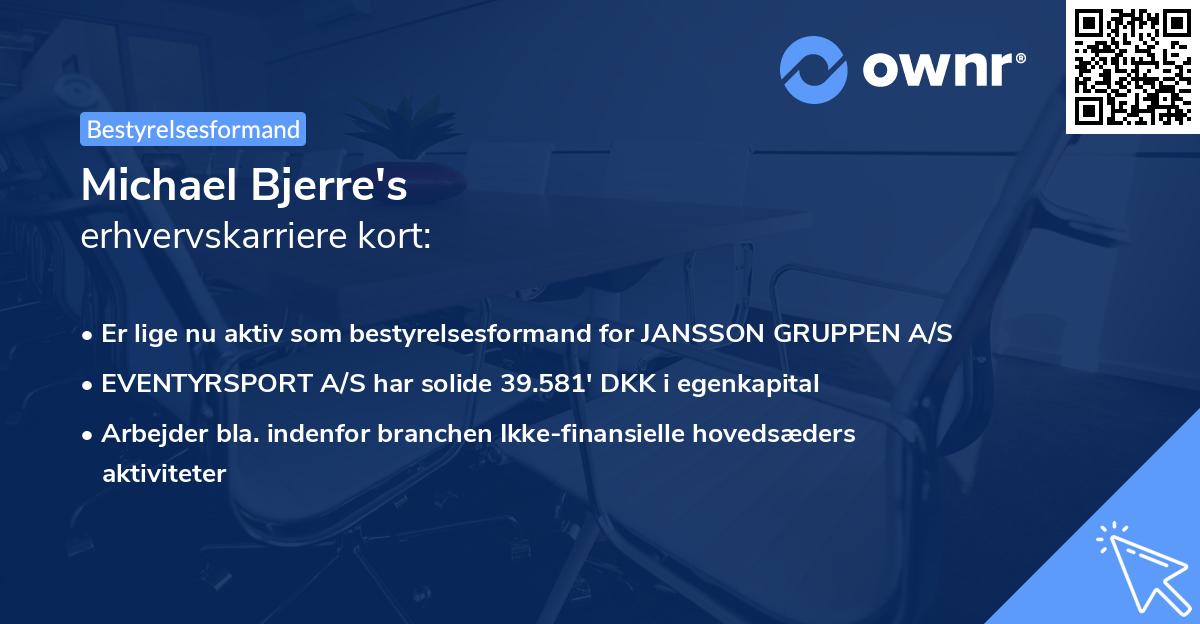 Michael Bjerre's erhvervskarriere kort