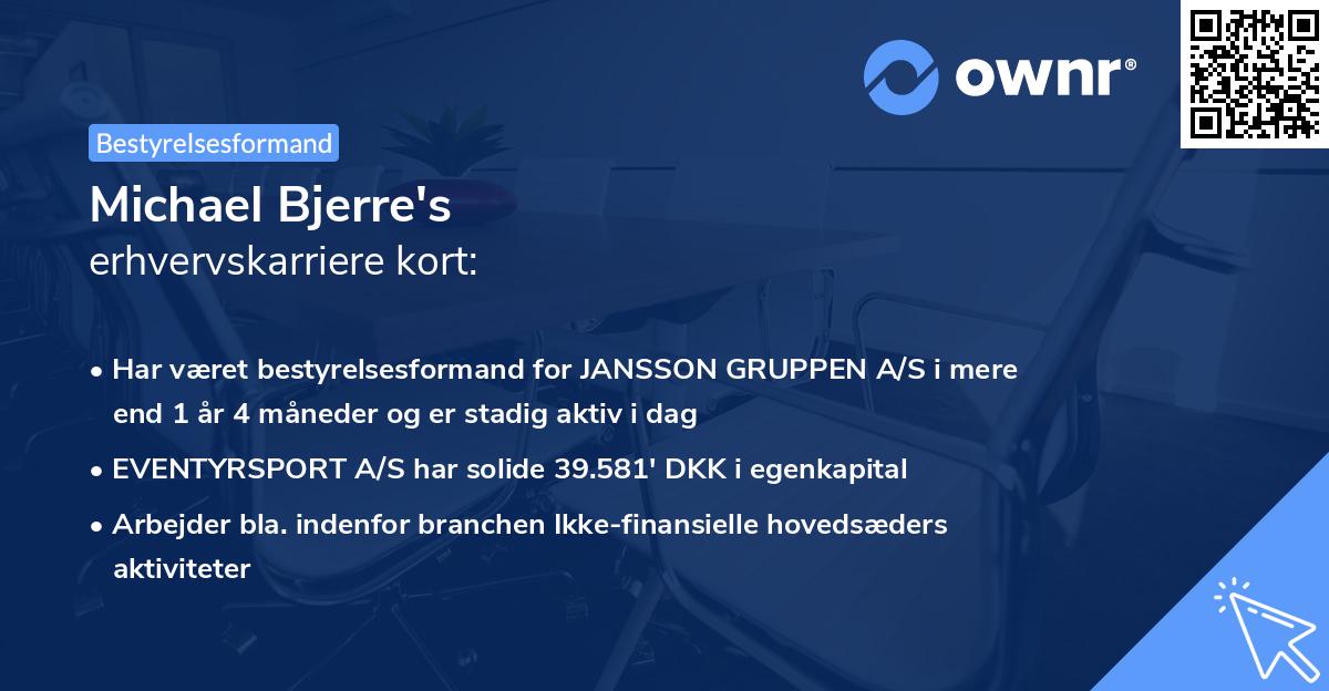 Michael Bjerre's erhvervskarriere kort
