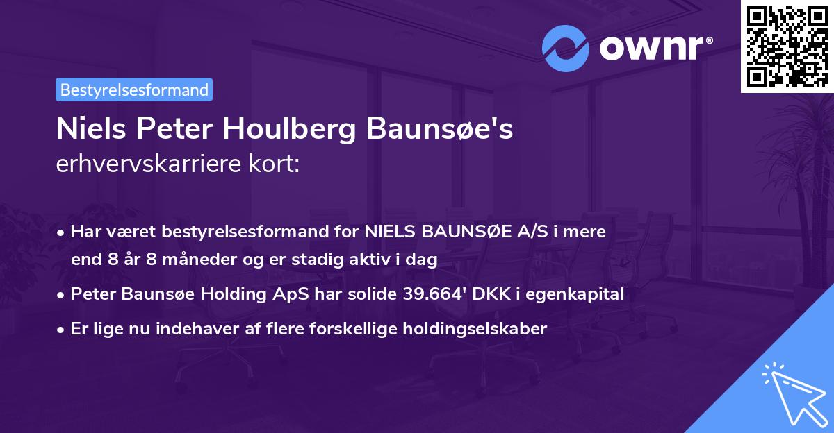 Niels Peter Houlberg Baunsøe's erhvervskarriere kort