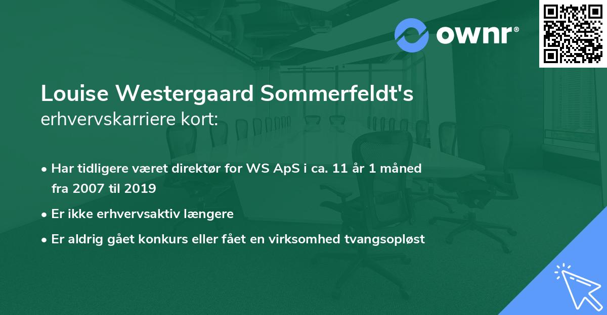 Louise Westergaard Sommerfeldt's erhvervskarriere kort