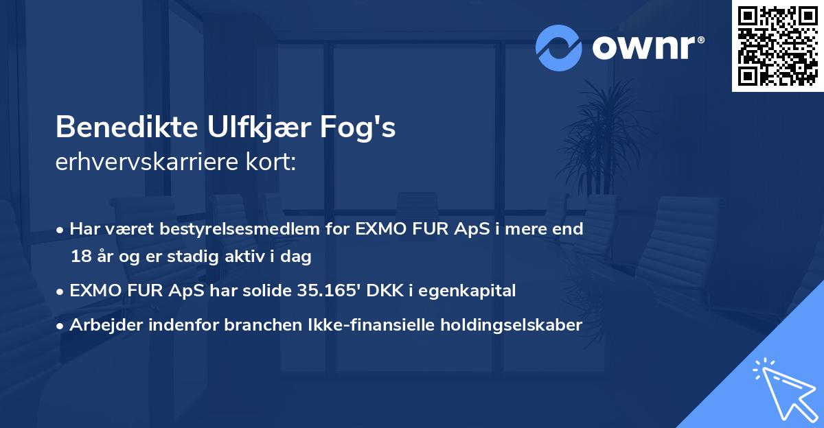 Benedikte Ulfkjær Fog's erhvervskarriere kort