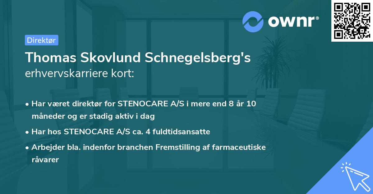 Thomas Skovlund Schnegelsberg's erhvervskarriere kort