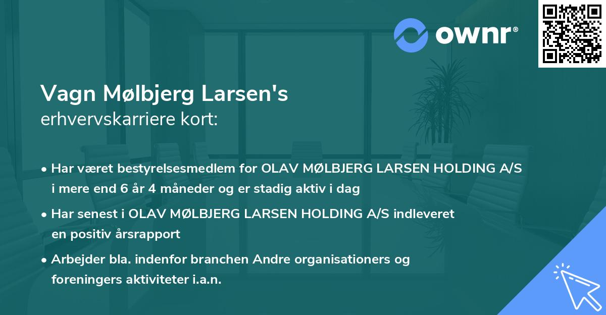 Vagn Mølbjerg Larsen's erhvervskarriere kort