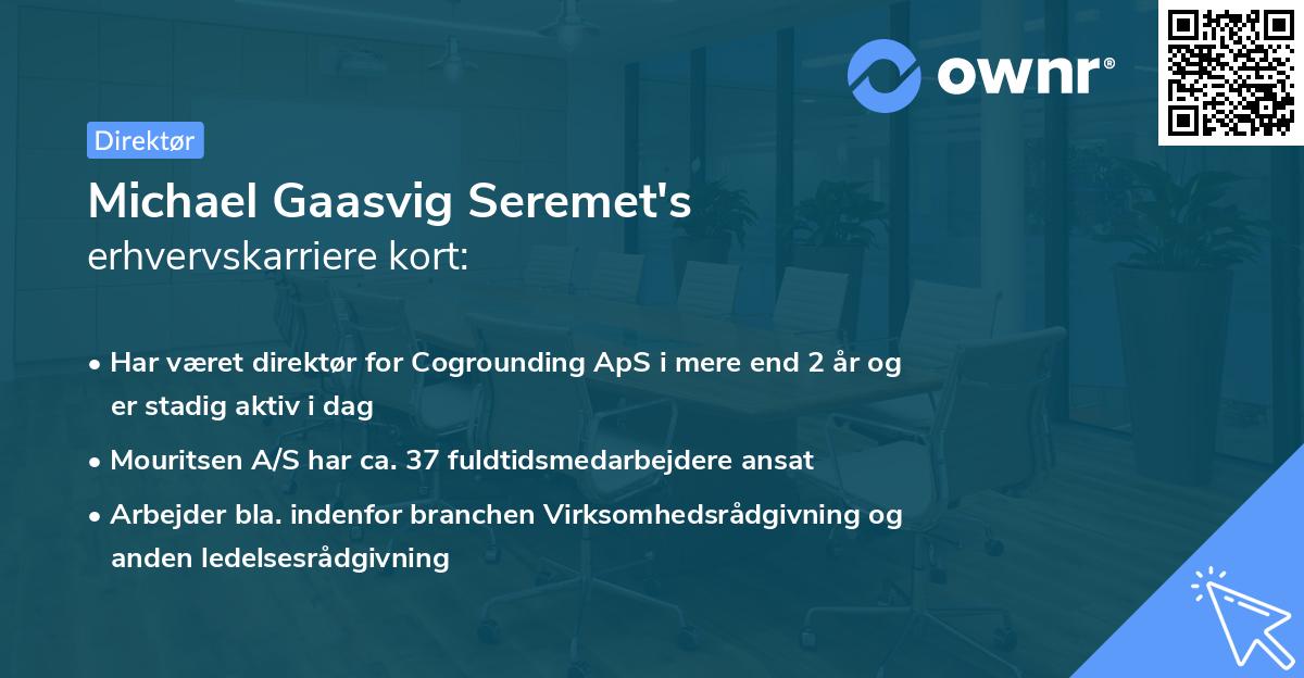 Michael Gaasvig Seremet's erhvervskarriere kort