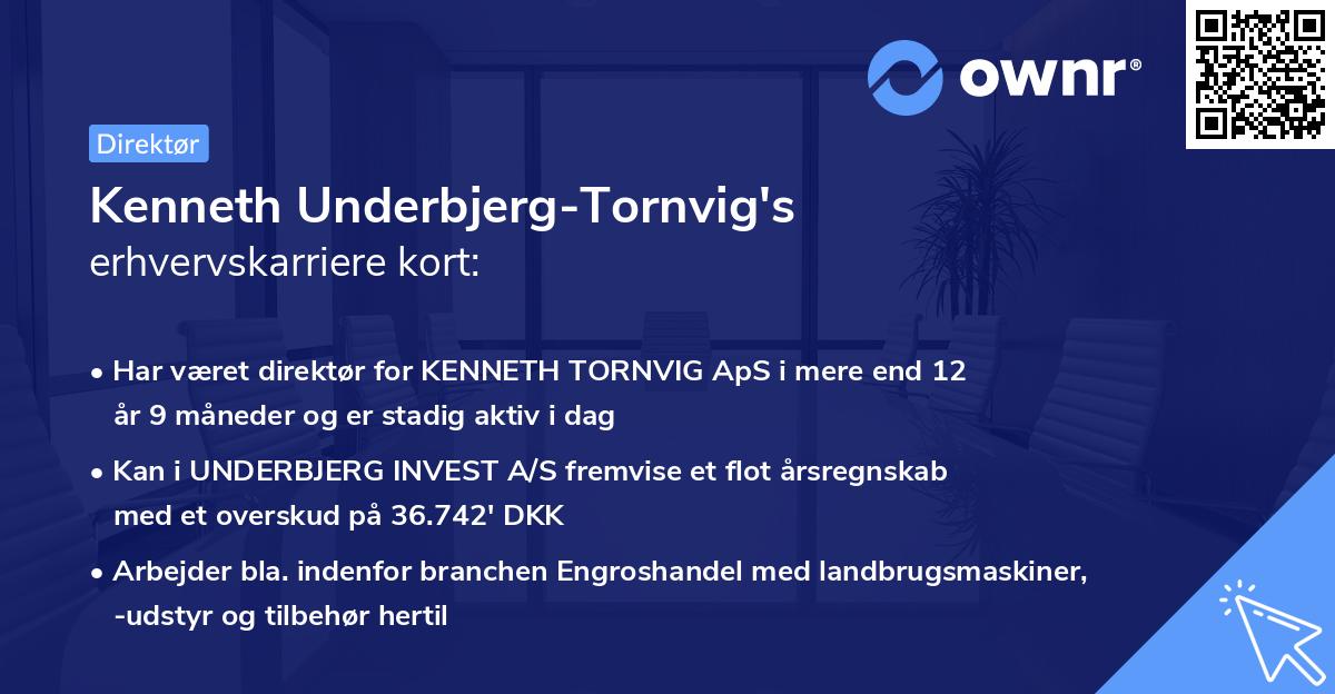 Kenneth Underbjerg-Tornvig's erhvervskarriere kort