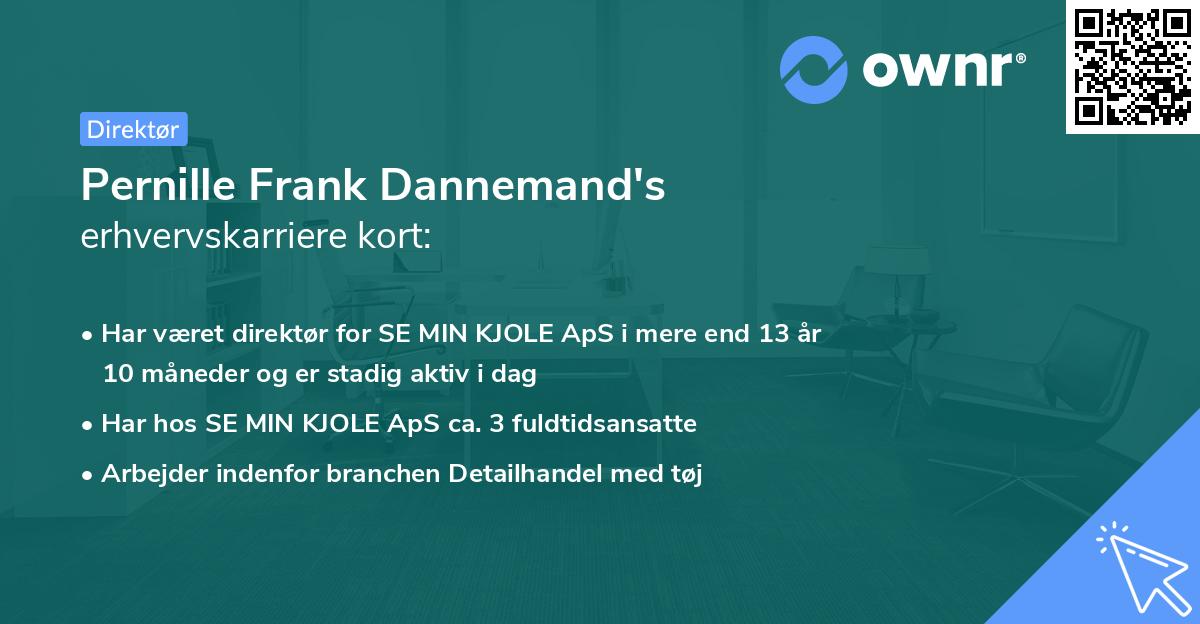 Pernille Frank Dannemand's erhvervskarriere kort