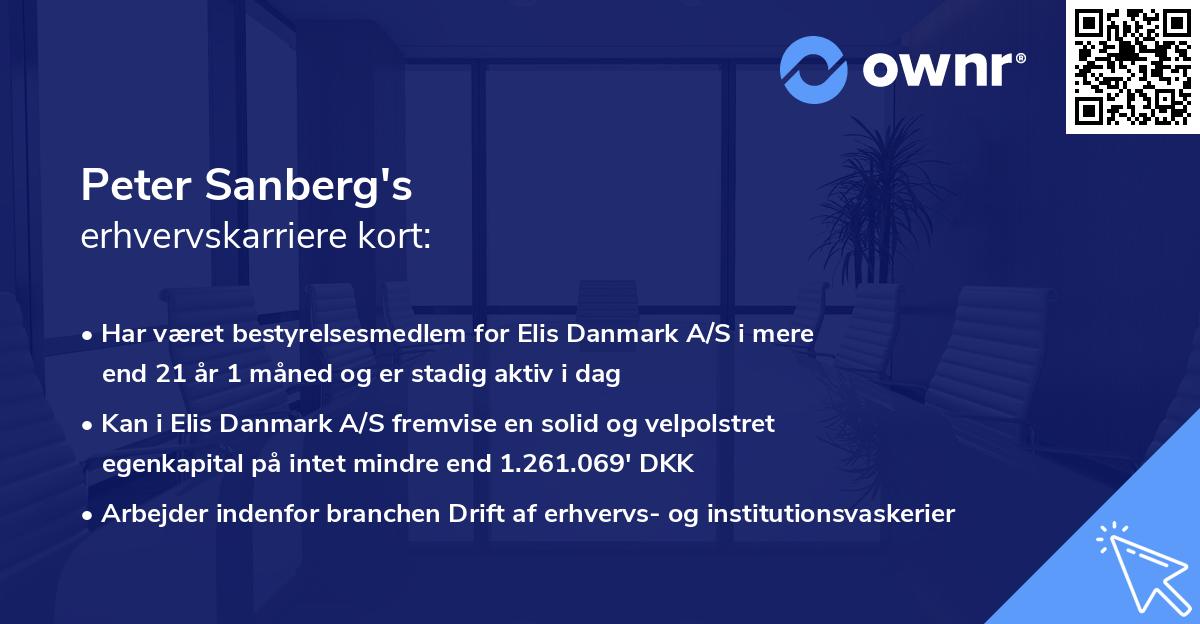 Peter Sanberg's erhvervskarriere kort