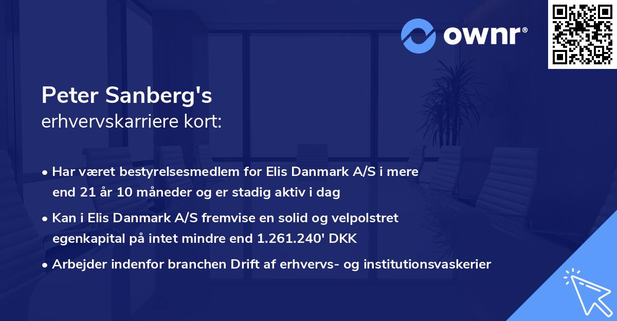 Peter Sanberg's erhvervskarriere kort