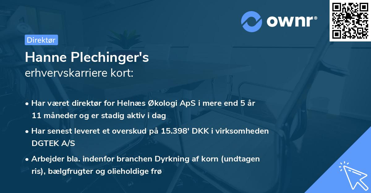 Hanne Plechinger's erhvervskarriere kort