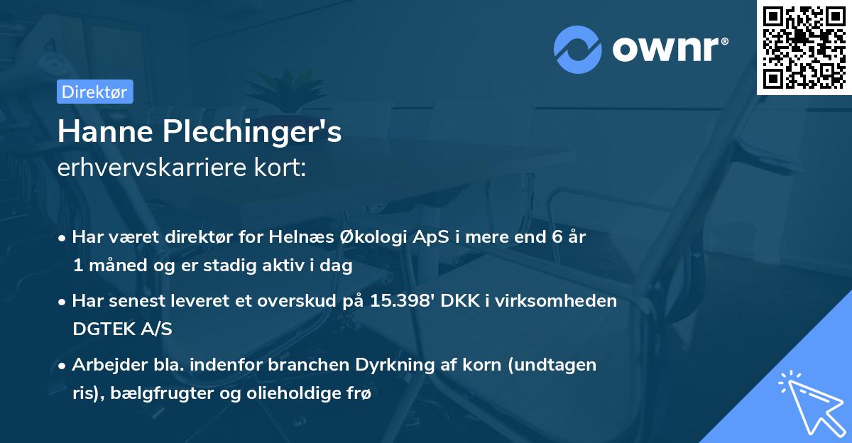 Hanne Plechinger's erhvervskarriere kort