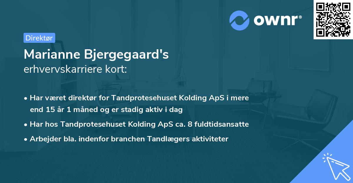 Marianne Bjergegaard's erhvervskarriere kort