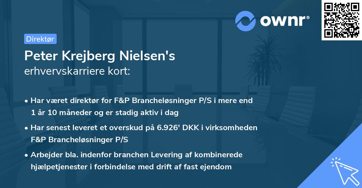 Peter Krejberg Nielsen's erhvervskarriere kort