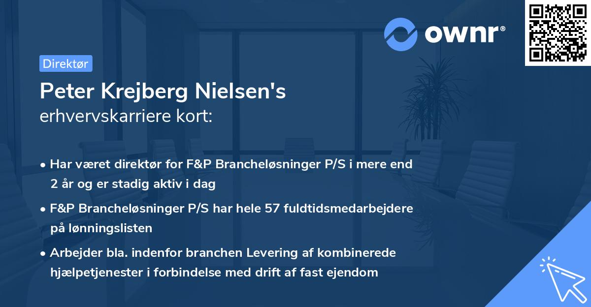 Peter Krejberg Nielsen's erhvervskarriere kort