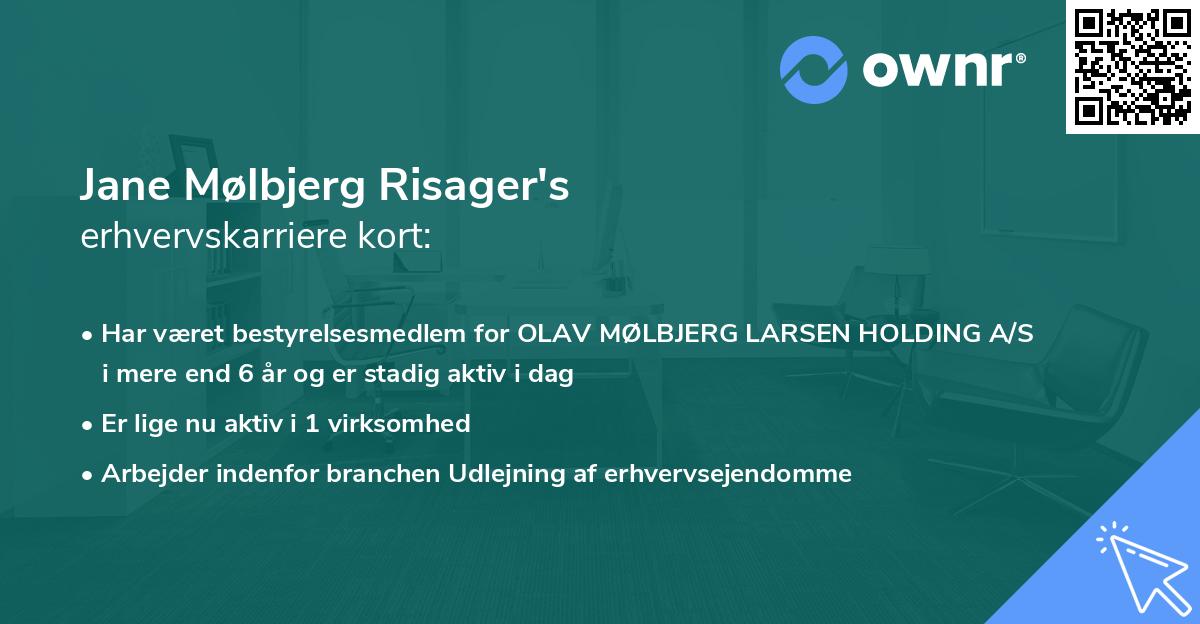 Jane Mølbjerg Risager's erhvervskarriere kort