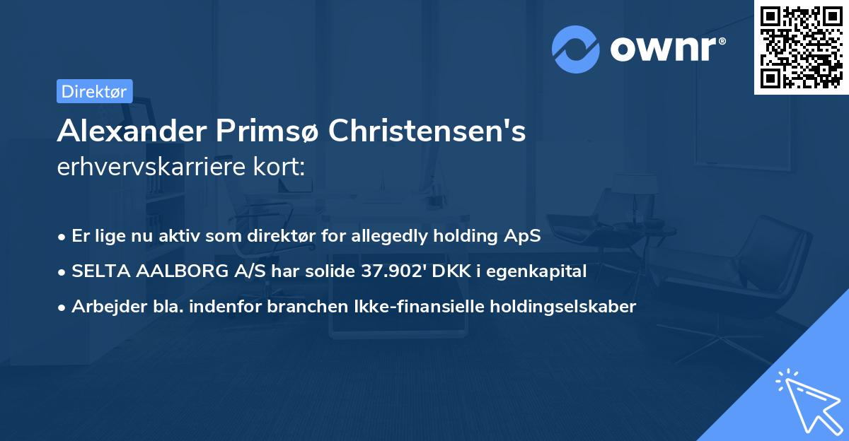 Alexander Primsø Christensen's erhvervskarriere kort