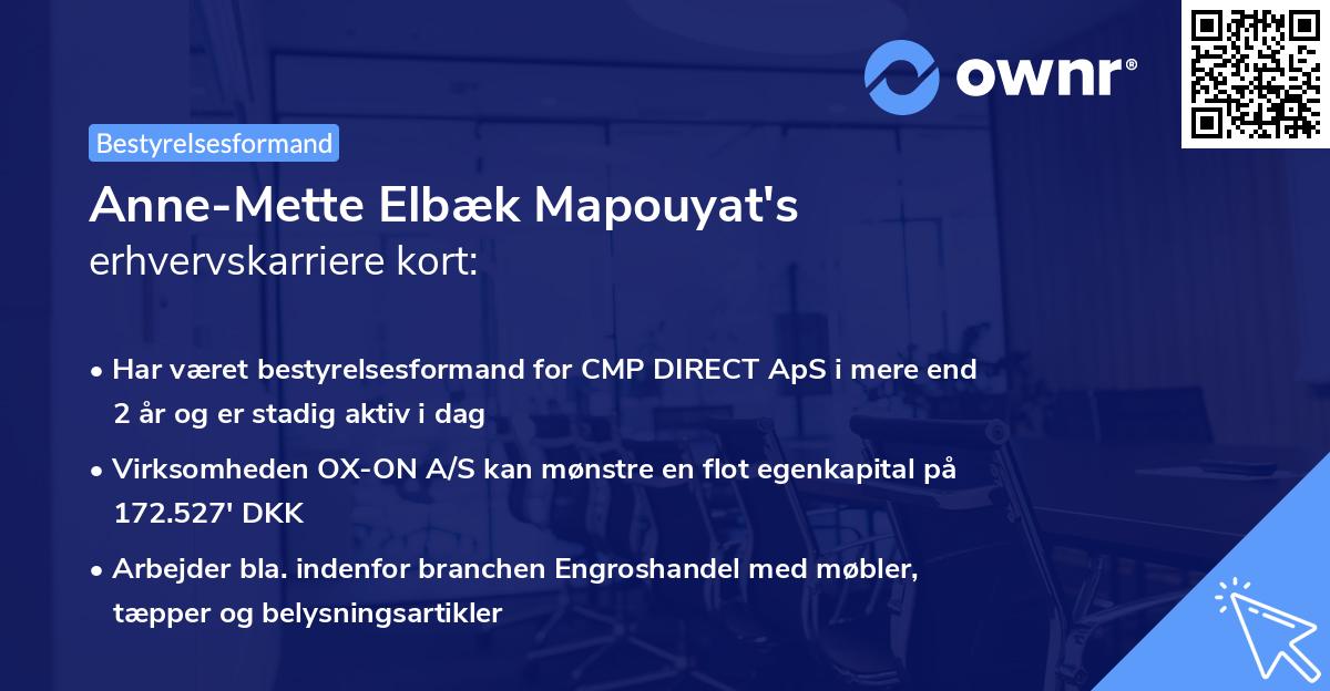 Anne-Mette Elbæk Mapouyat's erhvervskarriere kort