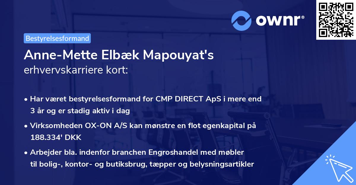 Anne-Mette Elbæk Mapouyat's erhvervskarriere kort