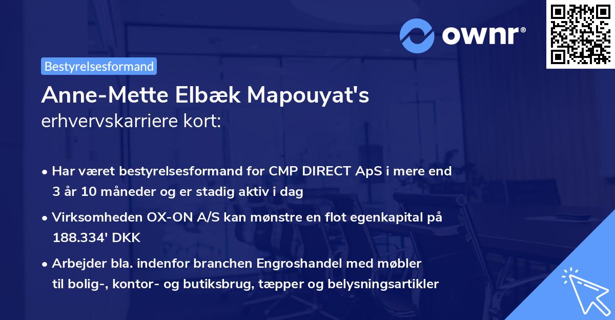 Anne-Mette Elbæk Mapouyat's erhvervskarriere kort