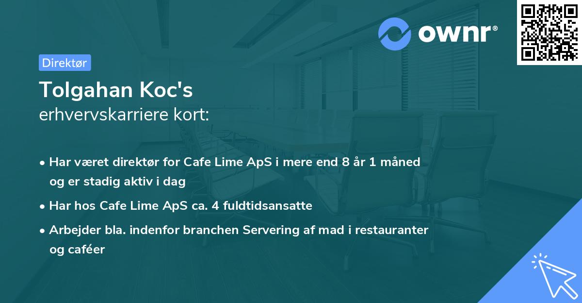 Tolgahan Koc's erhvervskarriere kort