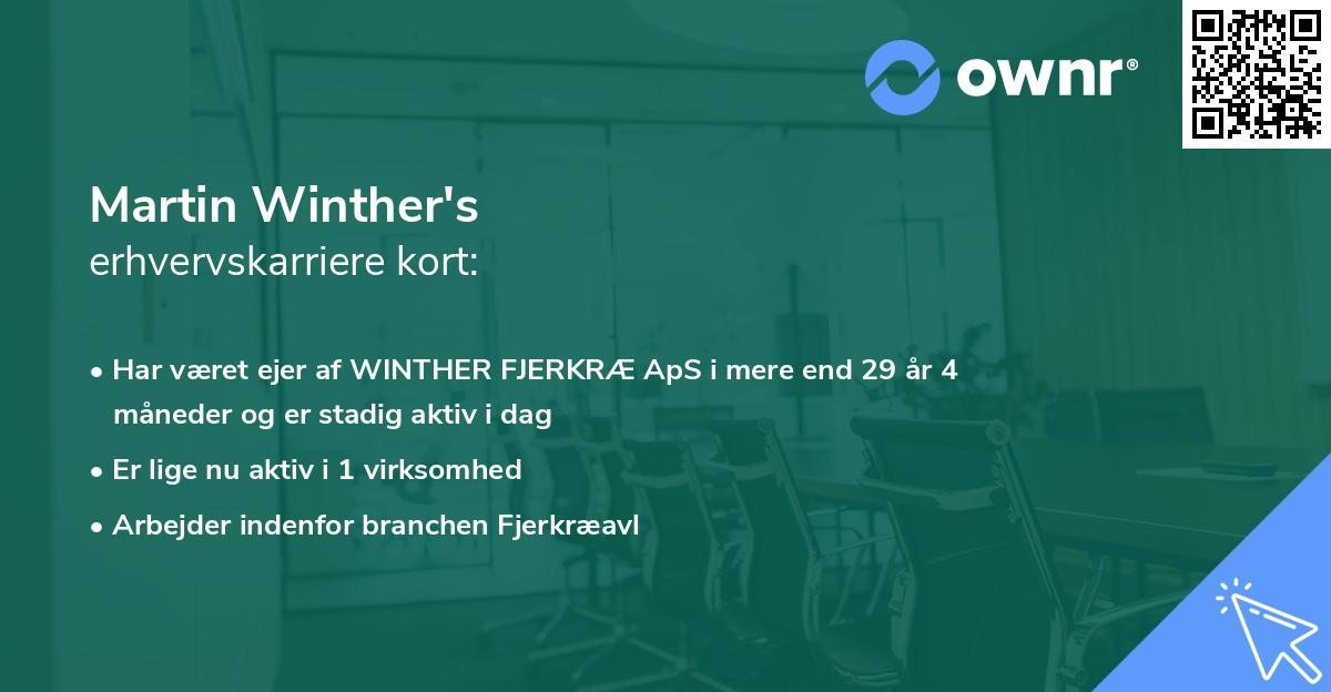 Martin Winther's erhvervskarriere kort