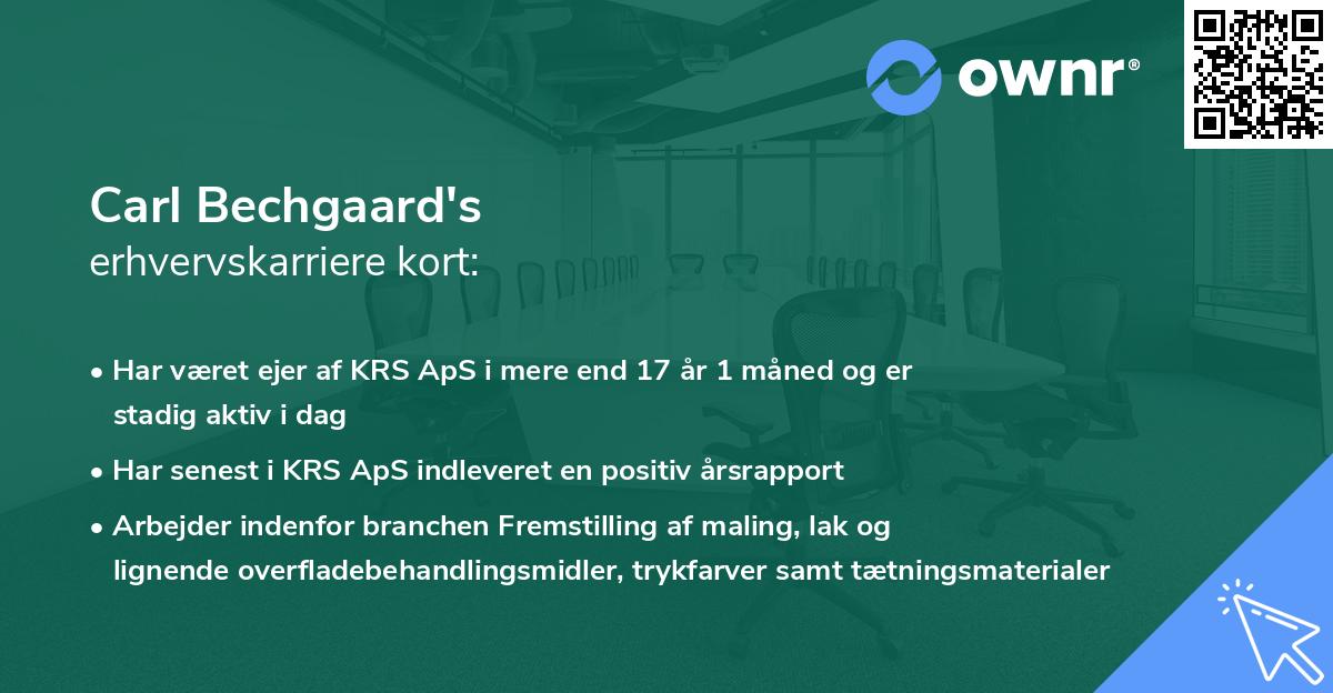 Carl Bechgaard's erhvervskarriere kort