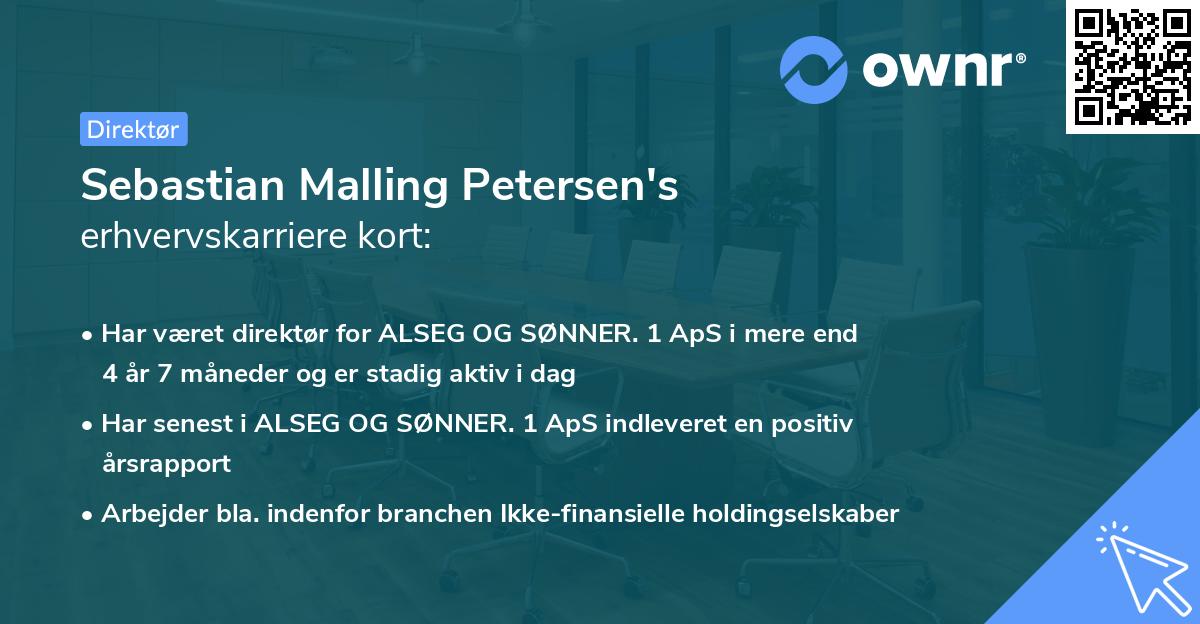 Sebastian Malling Petersen's erhvervskarriere kort