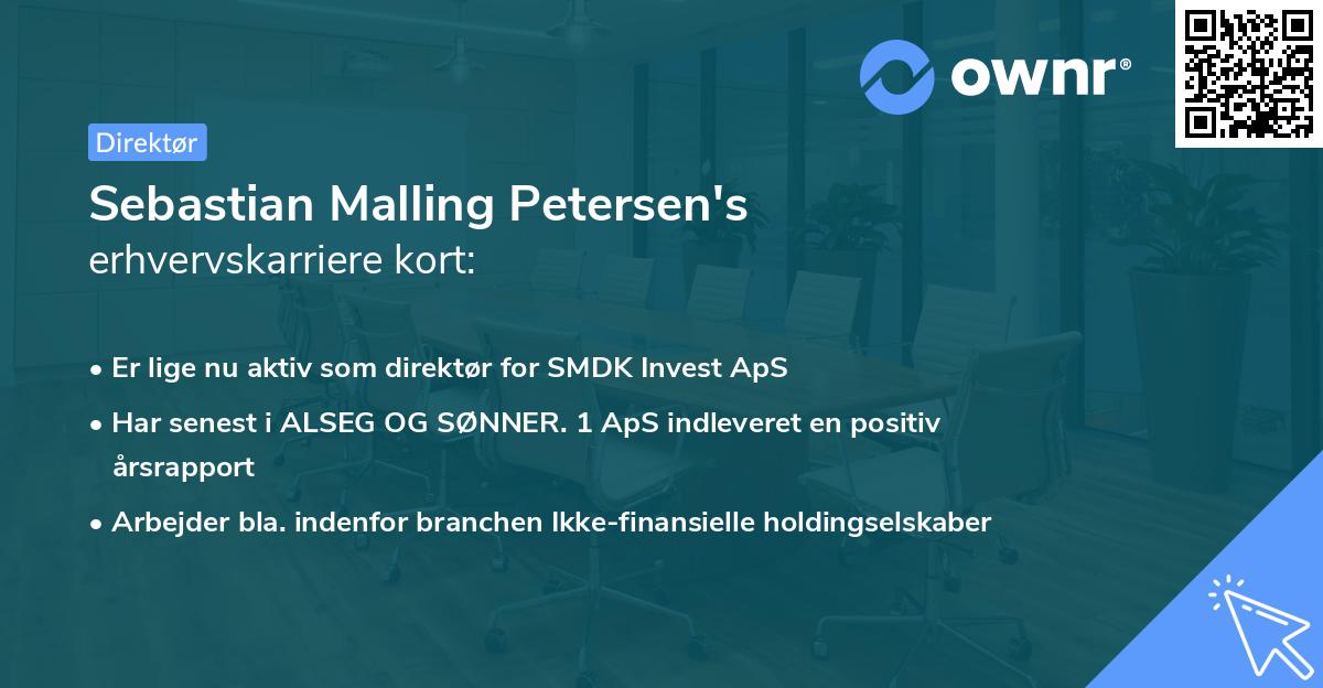 Sebastian Malling Petersen's erhvervskarriere kort