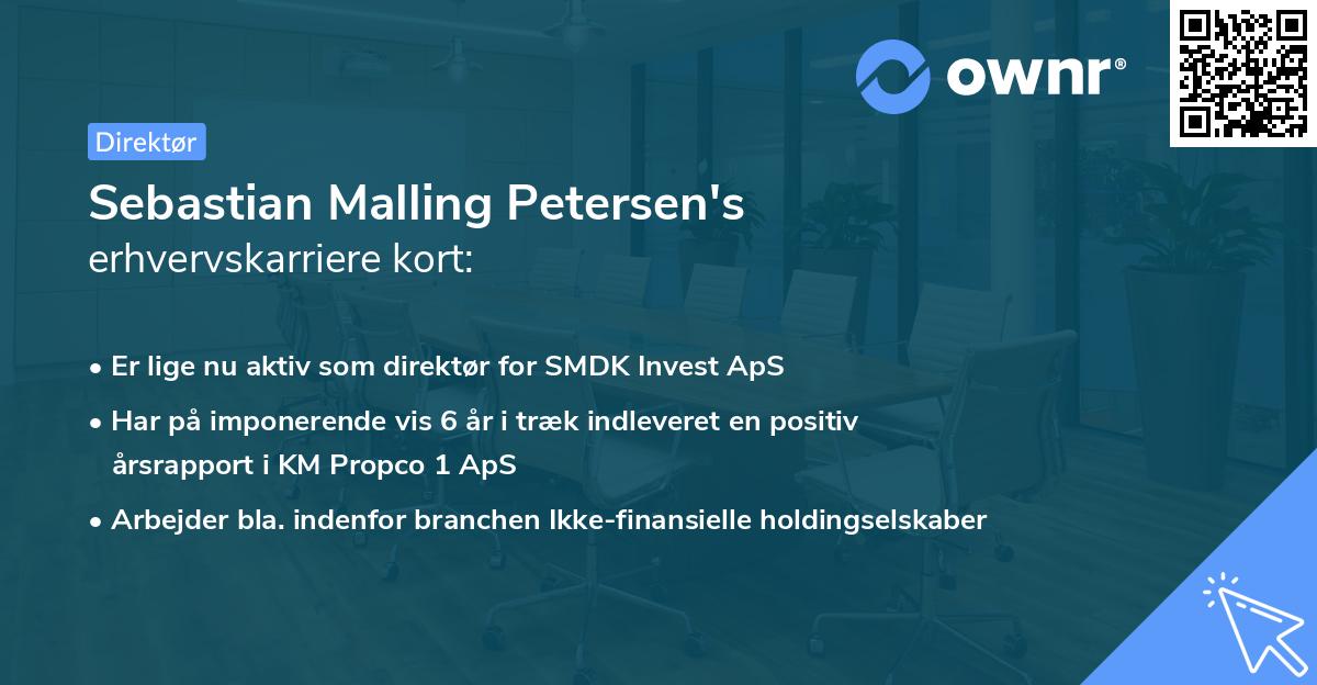 Sebastian Malling Petersen's erhvervskarriere kort