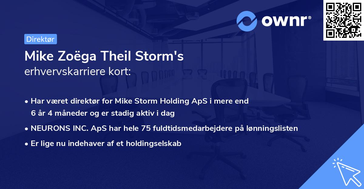 Mike Zoëga Theil Storm's erhvervskarriere kort