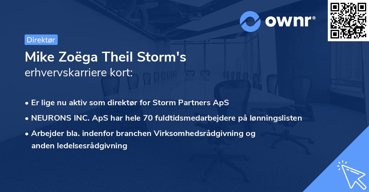 Mike Zoëga Theil Storm's erhvervskarriere kort