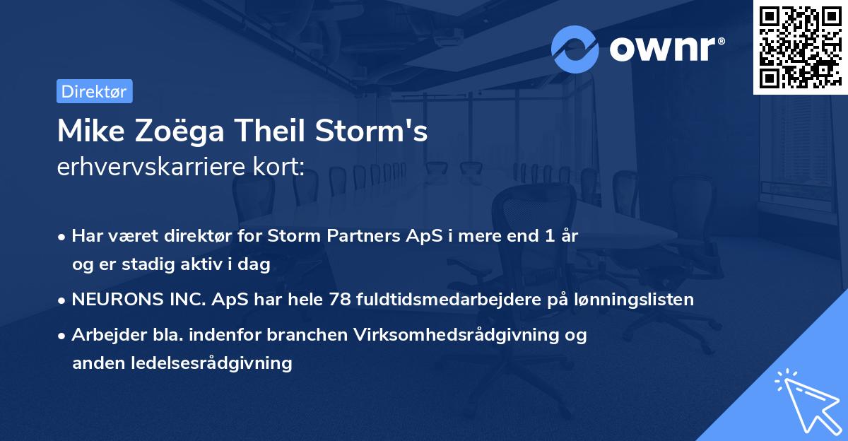Mike Zoëga Theil Storm's erhvervskarriere kort