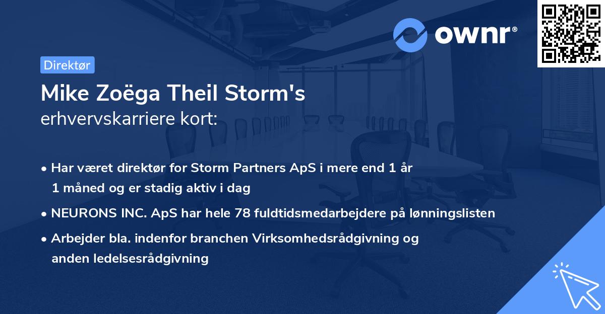 Mike Zoëga Theil Storm's erhvervskarriere kort