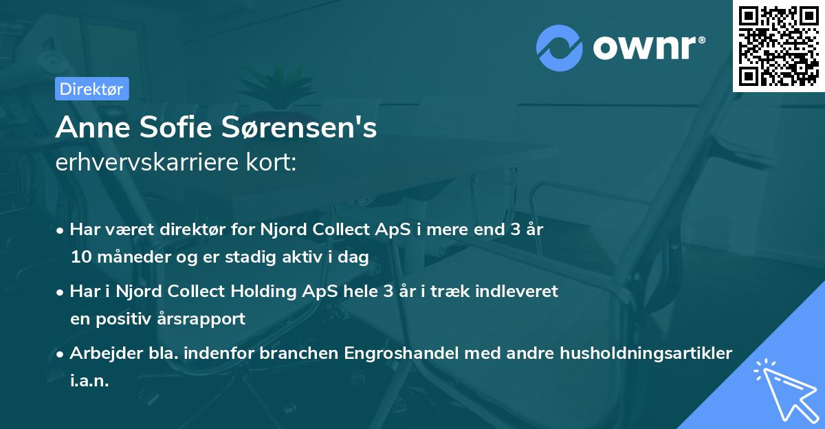Anne Sofie Sørensen's erhvervskarriere kort