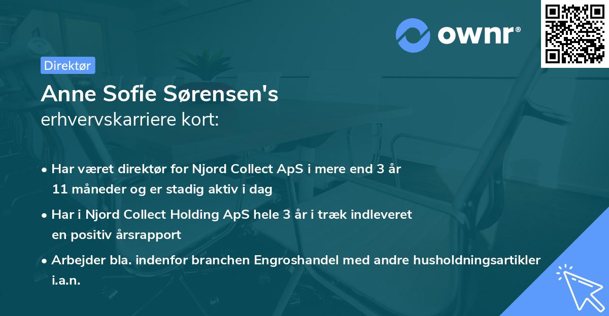 Anne Sofie Sørensen's erhvervskarriere kort