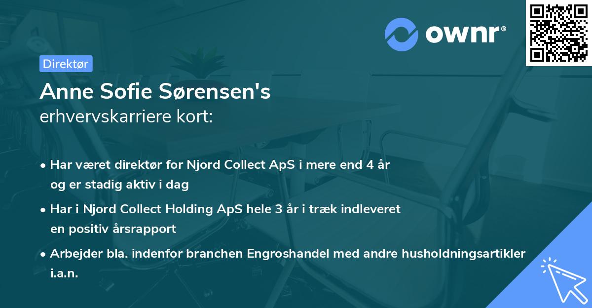 Anne Sofie Sørensen's erhvervskarriere kort