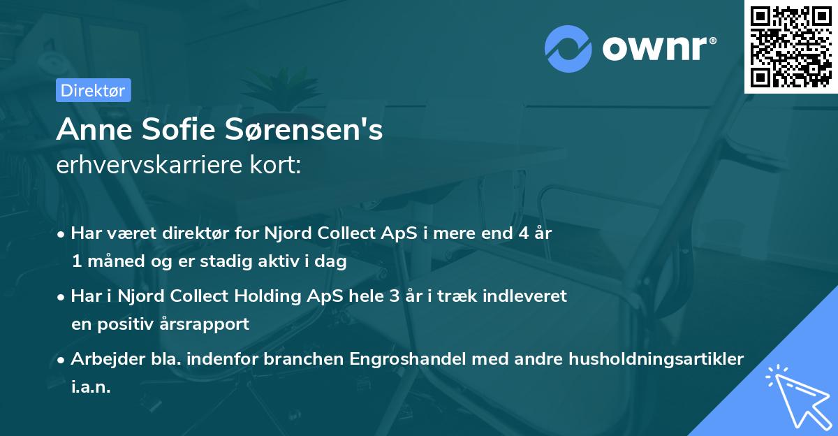 Anne Sofie Sørensen's erhvervskarriere kort