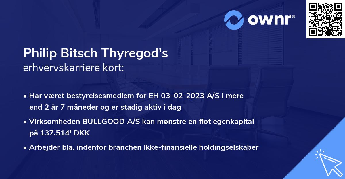 Philip Bitsch Thyregod's erhvervskarriere kort