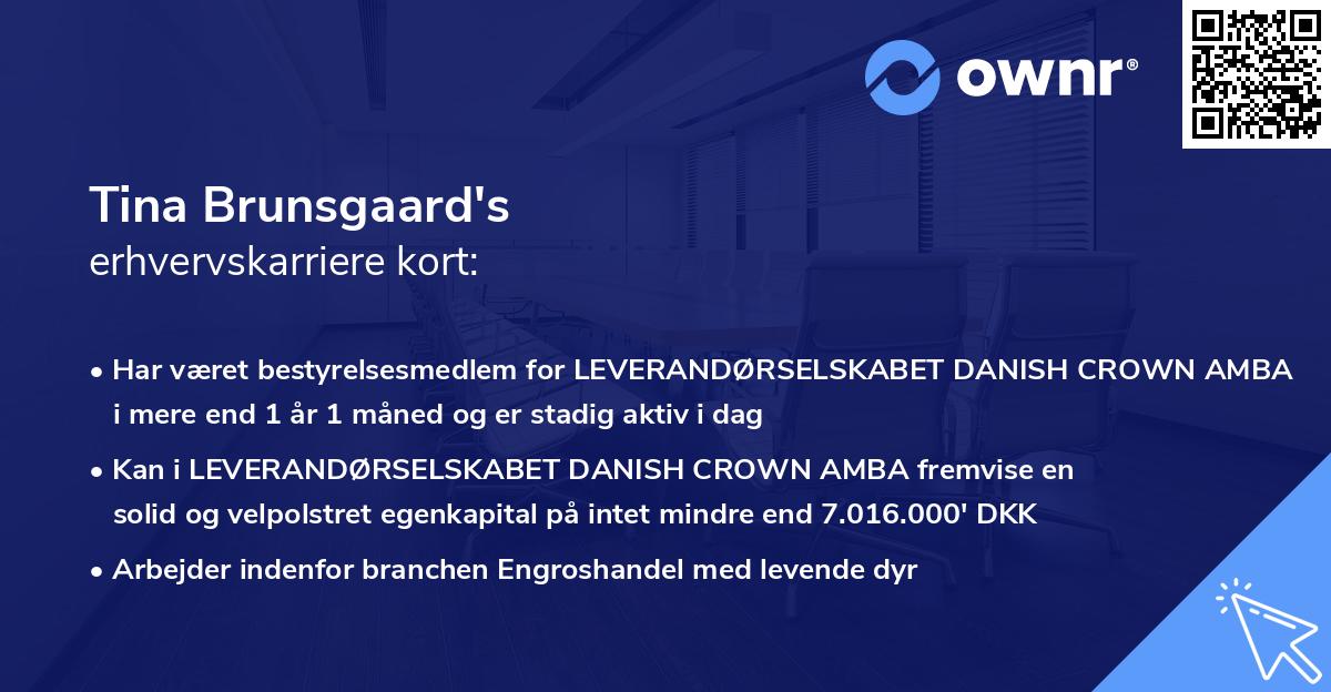 Tina Brunsgaard's erhvervskarriere kort