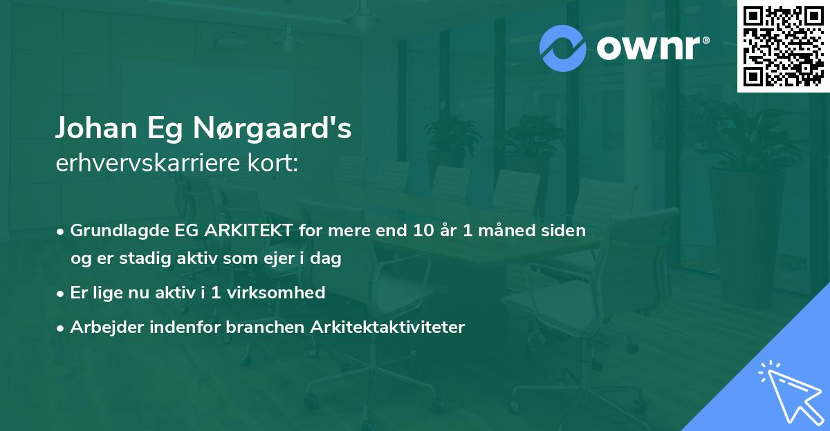 Johan Eg Nørgaard's erhvervskarriere kort