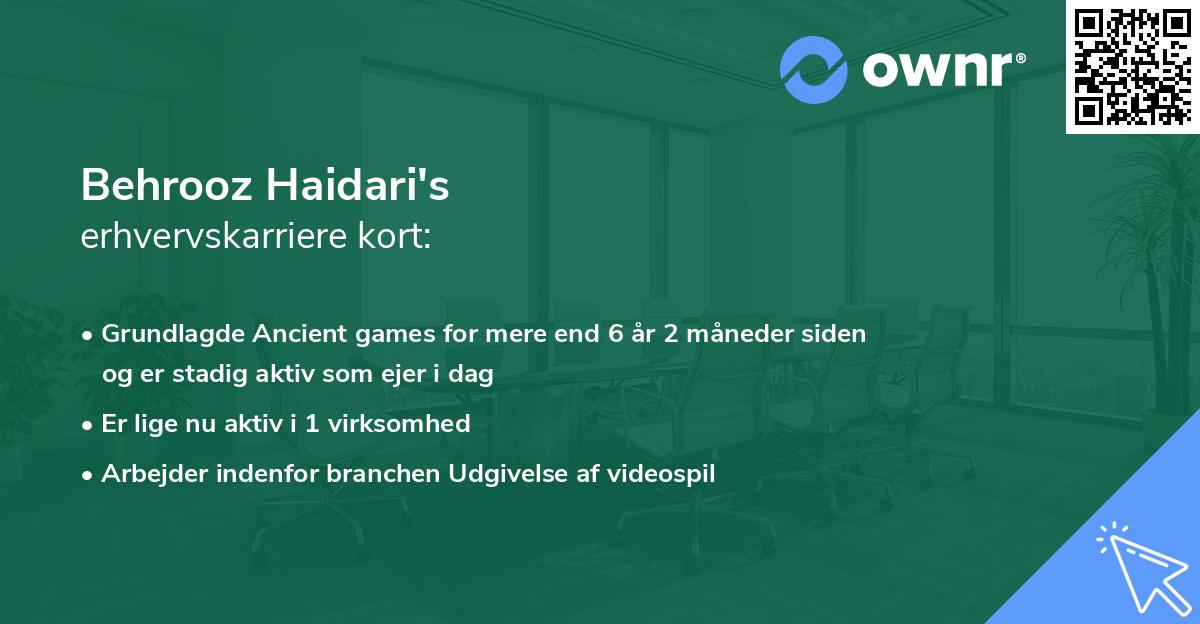 Behrooz Haidari's erhvervskarriere kort