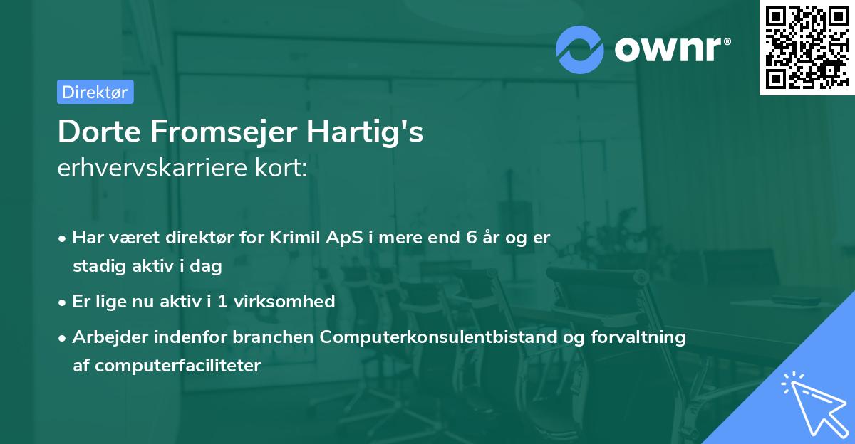Dorte Fromsejer Hartig's erhvervskarriere kort