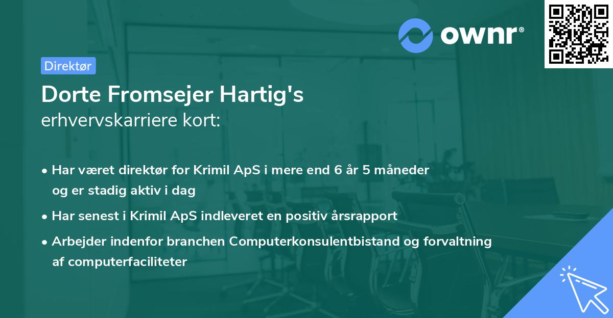 Dorte Fromsejer Hartig's erhvervskarriere kort