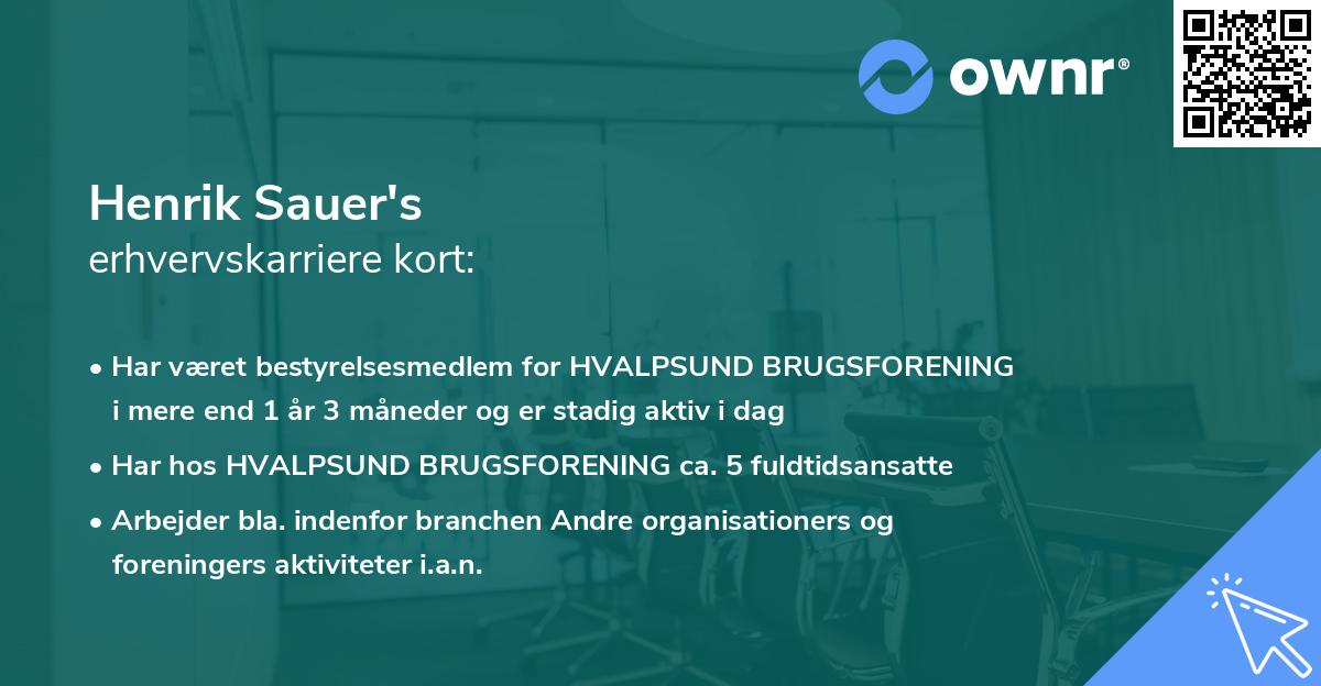 Henrik Sauer's erhvervskarriere kort