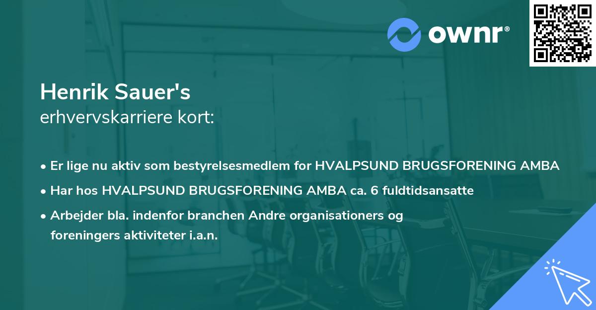 Henrik Sauer's erhvervskarriere kort